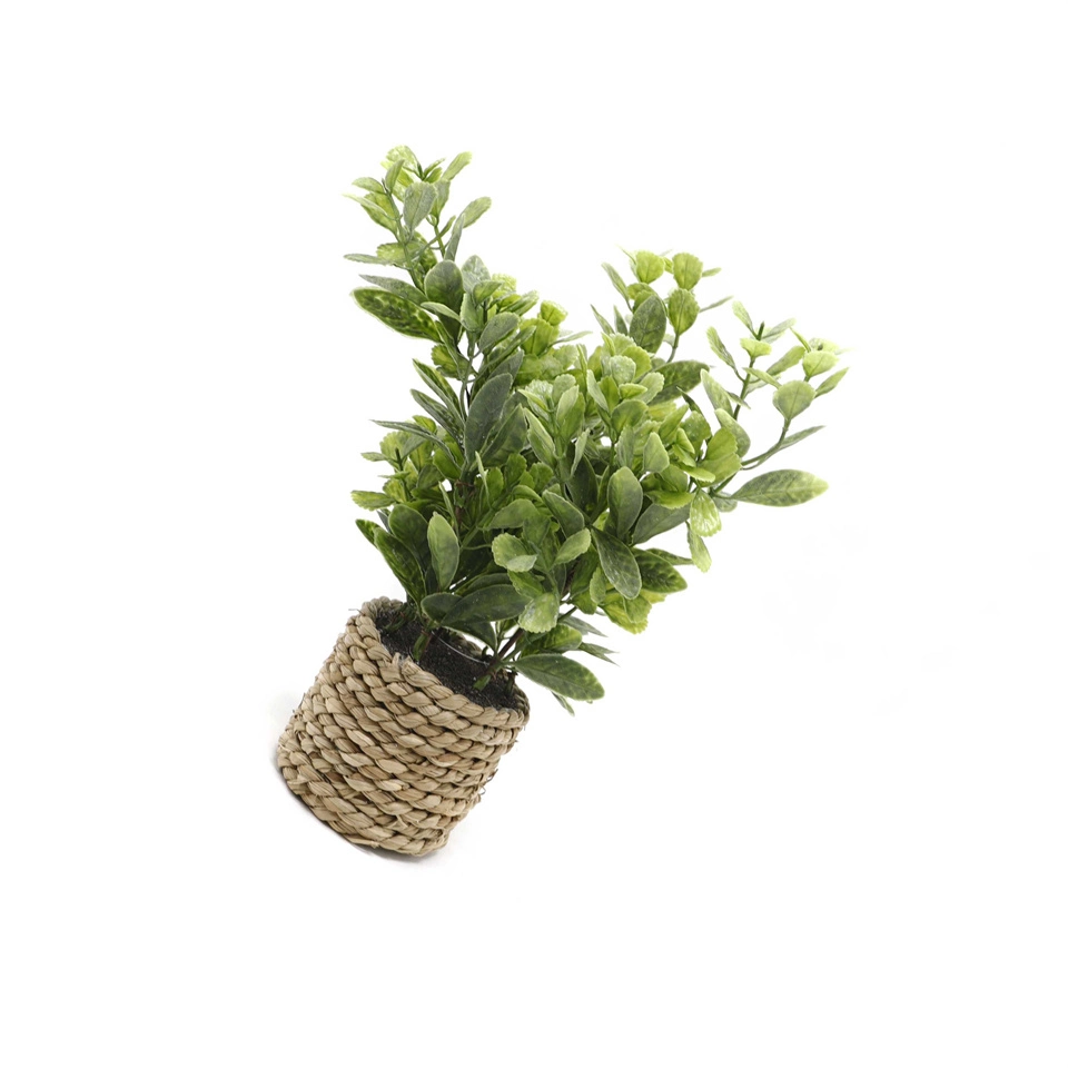 Hot Selling Artificial Green Plant Bonsai Good-Looking Outdoor Decoration Green Plant Simulation Bonsai Grass Braid Rope Medium Bonsai