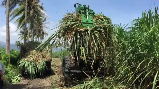 Attrezzatura per il caricamento con benna per l'agricoltura del caricatore di canna da zucchero di marca Hongyuan